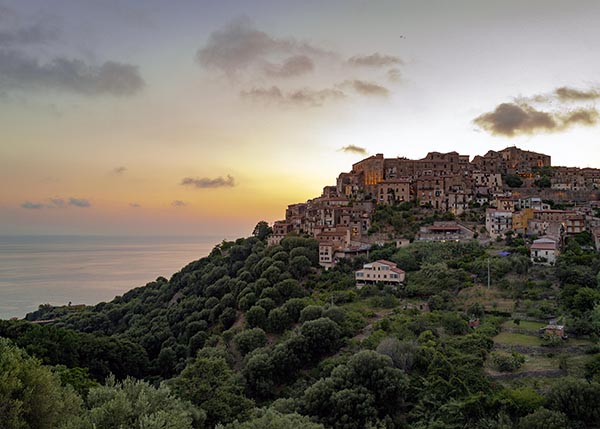 Pisciotta