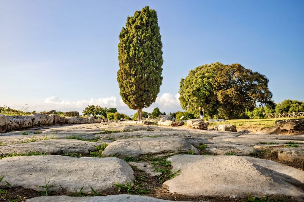 Im Park von Paestum.